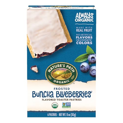 Image of Nature's Path Organic Buncha Blueberries Toaster Pastries, 11 oz (Pack of 12)