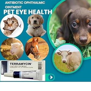   Otto-Tech-Pet-Eye-Health-Ointment-for-Dogs-Cats-Cattle-Sheep-Horse-Bird-18-oz-35gr-1-tube