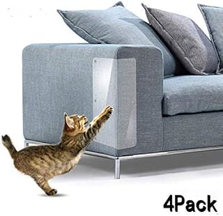 sticky paws petsmart