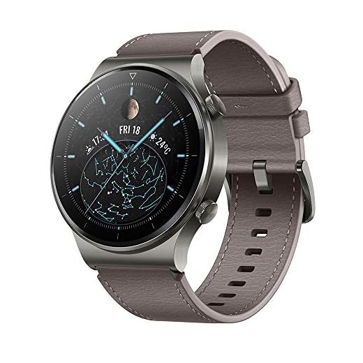 HUAWEI WATCH GT 2 Pro Montre Connectée, Ecran AMOLED Tactile de 1.39 Pouces, 2 Semaines D'autonomie, GPS & GLONASS, SpO2, Plus de 100 Modes D'entraînement, Appels via Bluetooth,Gris