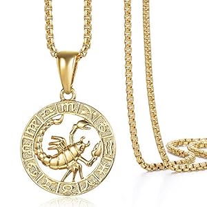 Gold Plated Zodiac Sign Pendant Necklace for Women Men Leo AriesConstellation Horoscope Pendant Stainless Steel Box Link Chain 22inch