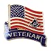 Veteran American Flag Square & Compass Masonic Lapel Pin - 1" Tall