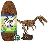 Geoworld Jurassic Eggs - Assembly Set - Velociraptor