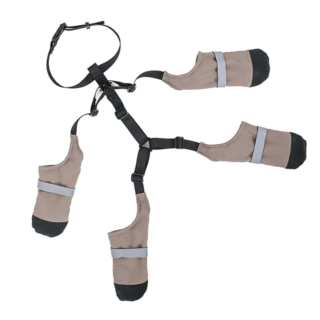 Foto 4 de 8 de Beimus Zapatos para perros de todas las razas, protectores para perros, botines con tirantes antideslizantes