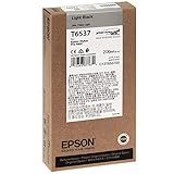 Geeignet für PRO4900 Epson T6537 Tintenpatrone, Singlepack, hell schwarz