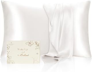 Satin Pillowcase for Hair and Skin - Super Soft Silk Pillowcase for Hair and Skin 2 Pack 20x30 inches | Cooling Satin Pillowcases with Zipper | Satin Pillow Case Standard Size Queen