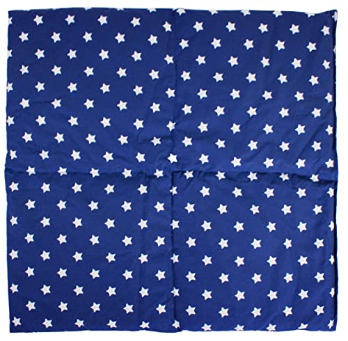 Cojín de huesos de cereza (40 x 40 cm, 4 cámaras, tamaño grande), diseño de estrellas, color azul
