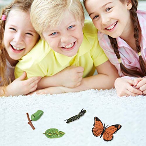 WINOMO Conjuntos Borboleta 2 Ciclo de Vida Animal Insect Growth Figuras Modelo de Brinquedo Educativ