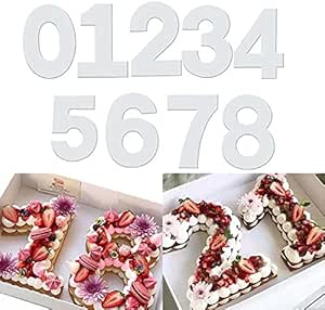 XQEUMC Moule Number Cake 0-9,Moules à Gâteaux Numériques En Acryliques,Moule Number Cake Grand Format Pour Crème De Gâteau Aux Fruits Gâteau De Mariage Gâteau D'anniversaire (12 Pouces