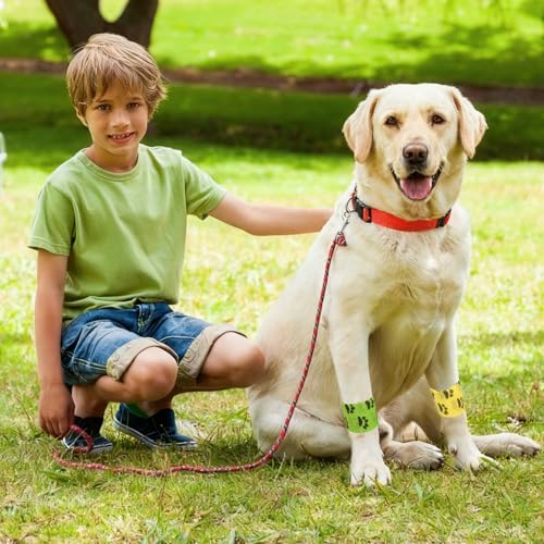 Euablfo 12 Rollen selbstklebender verband hund, Selbstklebender Verband, Kohäsive Bandage, Fixierbinde Selbsthaftend für Haustiere,Cohesive Pet Vet Wrap für Katze, Hund, Pferd Bein Klebeverban