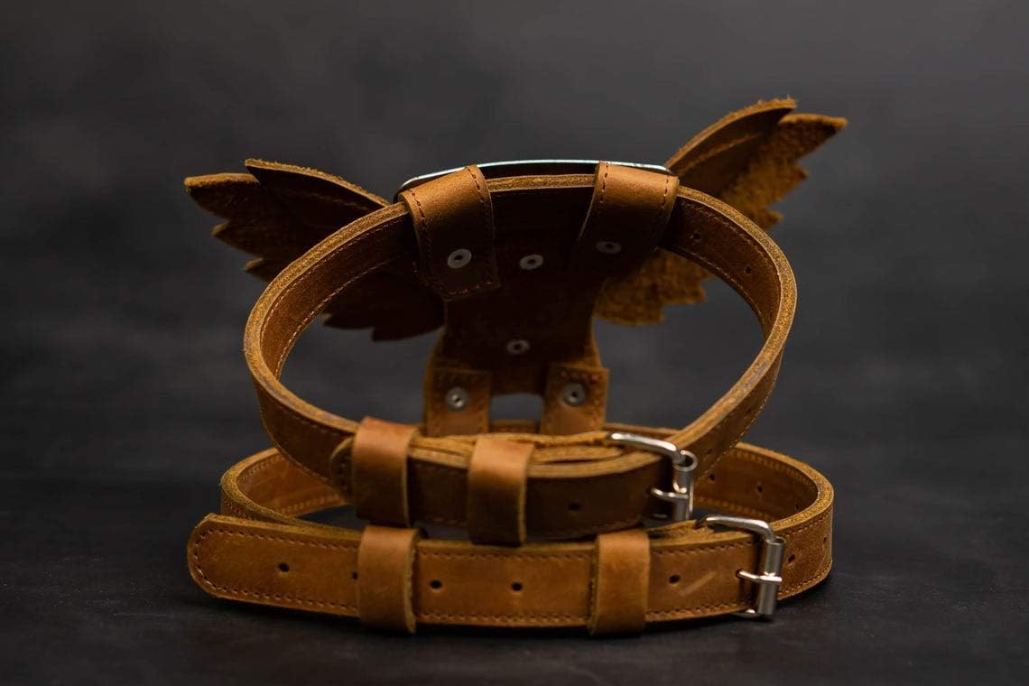 Pohvalin Leather dog harness with tag, dog collar with wings