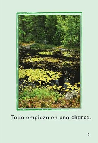 image for Shell Education Teacher Created Materials - TIME For Kids Informationa