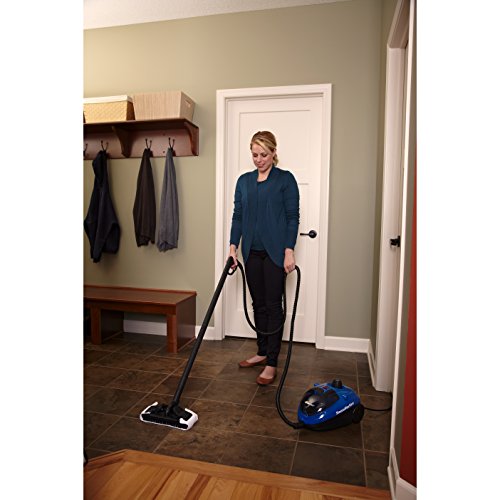 Wagner Spraytech C900066.M Steammachine Large Brush And Mop Head thumb #2
