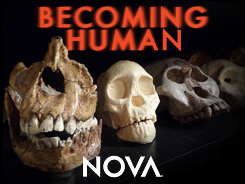 NOVA: Becoming Human (TV Series)