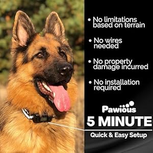 GPS-Wireless-Dog-Fence-GPS-Signal-Boost-AI-Scene-Recognition-Radius-from-min-33-to-max-1000-Yards-IPX7-Waterproof-Containment-System-for-Medium-and-Large-Dogs - Cucciolini Doodles   GPS-Wireless-Dog-Fence-GPS-Signal-Boost-AI-Scene-Recognition-Radius-from-min-33-to-max-1000-Yards-IPX7-Waterproof-Containment-System-for-Medium-and-Large-Dogs