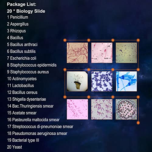image for Walfront 20 Microscope Slides Biology And Pathology Prepared Microbiol