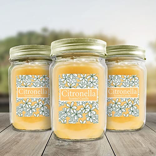 Lumabase 26603 Citronella Scented Candles In 9Oz Mason Jars - Set Of 3 #TOP1