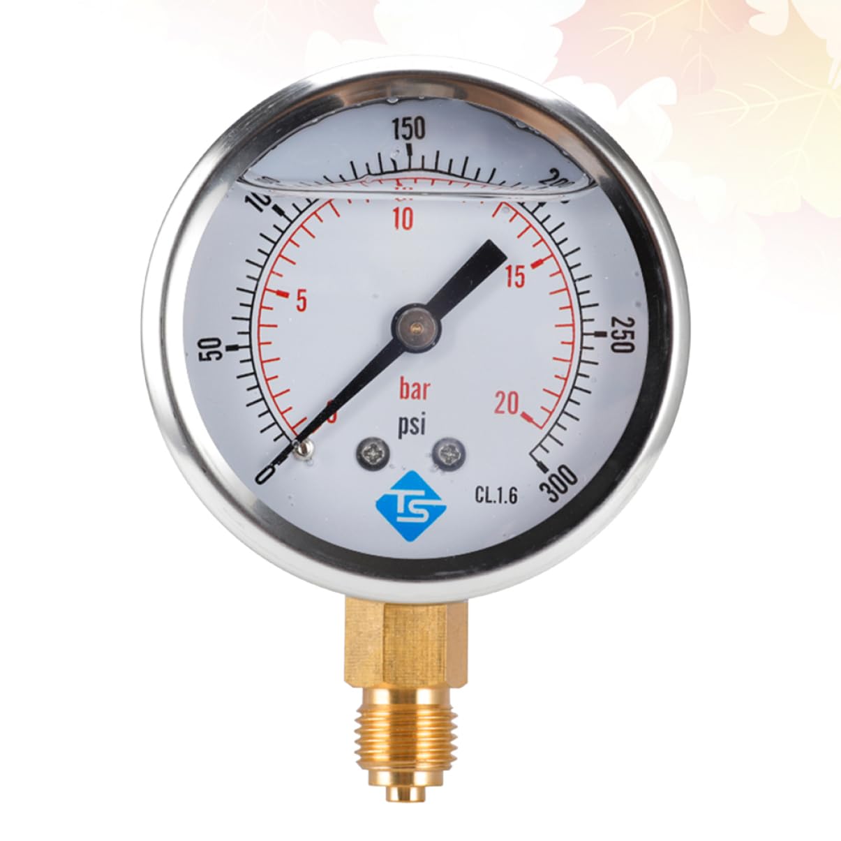 Numero manometro Digitale Tavolo per Test di oliatura Vuoto manometro dell'Acqua per Uso Domestico manometro Idraulico barometro di precisione Manometro in Acciaio Inossidabile
