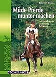 Cadmos Verlag