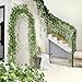 CQURE 36 Pack 252Ft Artificial Ivy Garland, Fake Vines Leaf Garland Green Leaves Fake Plants Hanging Vines Plant Greenery Garland for Bedroom Wedding Party Garden Wall Room Decor