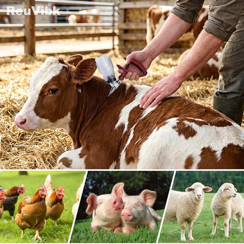 Image of 5ML Livestock Syringe Gun, Automatic Self Refill Injection Gun Continuous Adjustable Bottle Attachment Livestock Animal Syringe with 10 Needles, for Chicken, Duck, Pig, Sheep, Cow Poultry (Rose Red)