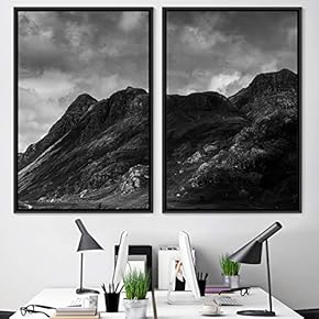 signwin 2 Piece Framed Canvas Wall Art Monochromatic...