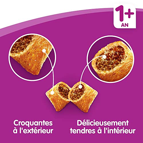 Whiskas Croquettes im Huhn für Katzen sterilisiert