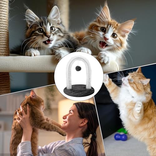 Toiletteur autonome pour chat d'intérieur avec poteau anti-peluches et grattoir multifonction