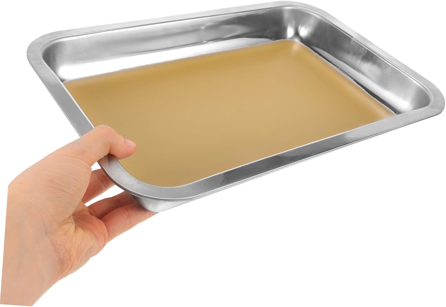 Dissection Trays Wax Stainless Steel Dissection Tray Compact Lab Dissecting Pan