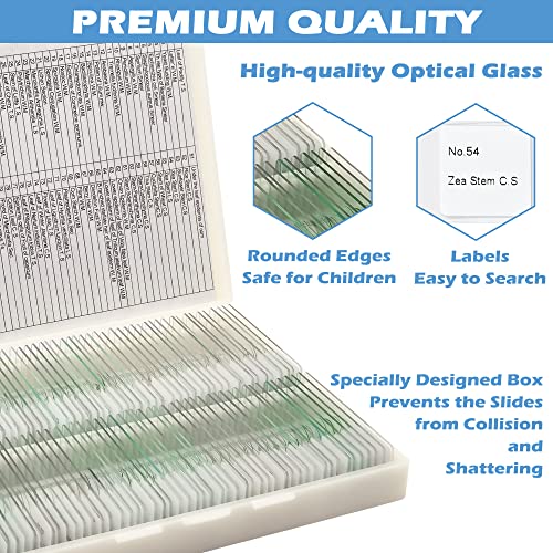 Prolee 200 Packs Microscope Slides thumb #2
