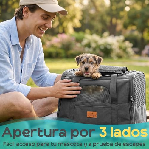 Transportín perro pequeño cómodo con correa ajustable para evitar dolores de espalda 8