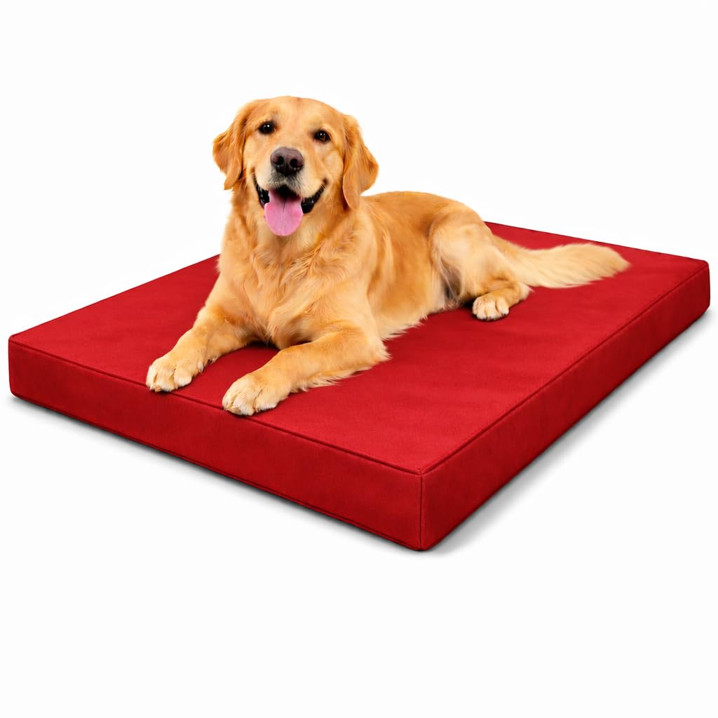 MOTHER LAND Waterproof Dog Bed Heavy Duty Foam Pet Mattress Cushion Dog Bed MatCrate Kennel, FloorTravel Durable Puppy BedSmall Medium Large Dogs (Rad, XX-Large 120 × 75 × 5 cm 48″ × 30″ × 2″)