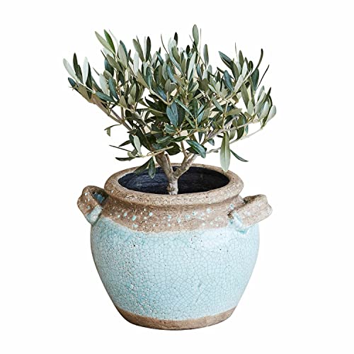 Loberon Übertopf Elisa, Handgetöpfert, Mediterrane Optik, Teillackiert, Versprüht Urlaubsflair, Gartenzubehör, Blumentopf, Pflanzgefäß, Terrakotta, blau