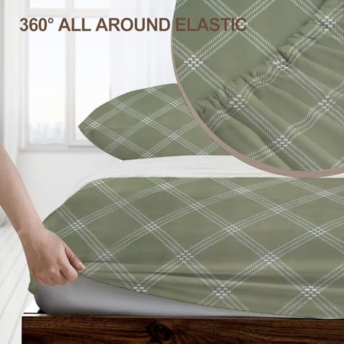 Image of RD TREND Waterproof Fitted Bedsheet for Queen Size Bed (78x60x8 Inches) | Ultra-Soft Glace Cotton Elastic Sheet with 2 Pillow Covers (18x28 Inches) (Green Check)