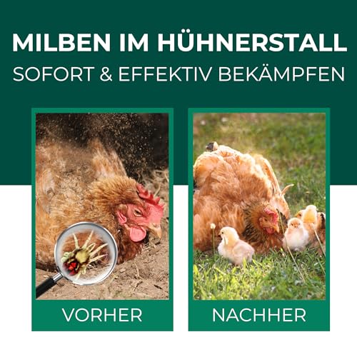 Silberkraft Milbenspray 500 ml für Hühner und Ziervögel, zuverlässiger Milbenschutz, effizientes und garantiert hilfreiches Anti-Milben-Mittel