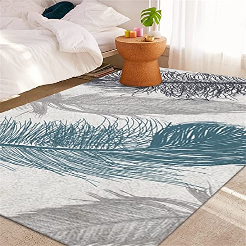 Tapis Pastel Bleu Tapis Salon Bleu Plume Simple Tapis Moderne Salon Lavable Tapis Exterieur terrasse 80X160CM Tapis Garcon 2ft 7.5''X5ft 3'' Cover