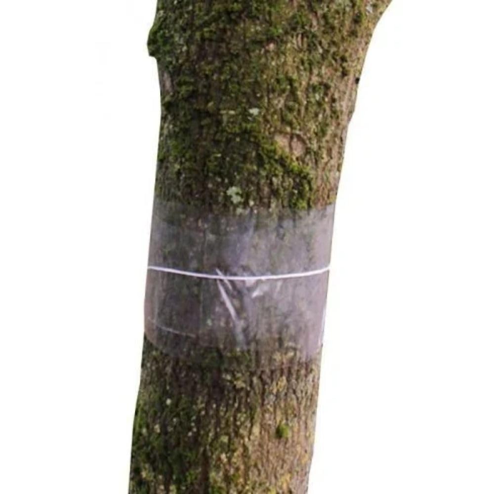 Gardening Naturally Fruit Tree Glue Bands (3 x 70cm) - Non-Toxic Pest Protection for Winter Moths, Ants, and Crawling Insects - Easy Application, Long-Lasting, and Effective