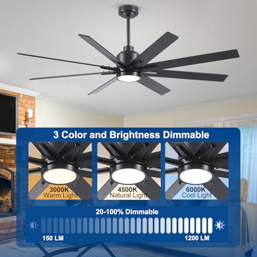 Image of Rayqueen 62 Inch Black Ceiling Fans with Lights and Remote,Includes Downrod