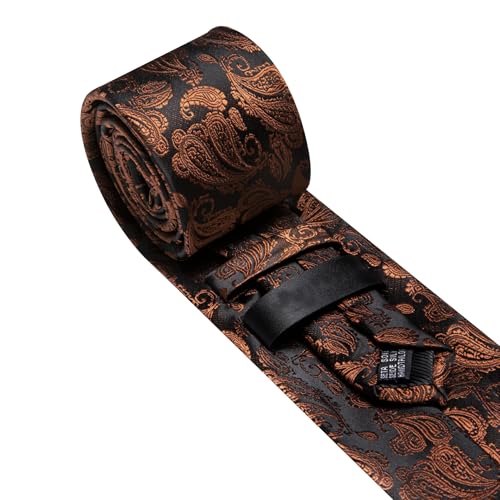 Image of Barry.Wang Paisley Tie for Men Silk Woven Necktie and Tie Clip Set Wedding Party Business Formal