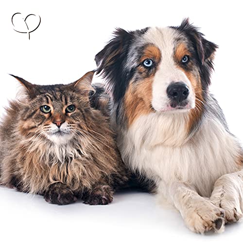 GOLDEN PEANUT Spirulina Pulver 500 g - 100% Reine Spirulina Alge für Pferd, Hund und Katze, Premium Qualität, natürliche Nährstoffversorgung
