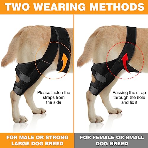 Juanwan Dog Knee Brace Leg Braces - Dog Canine Knee Stifle Brace Wrap Dog Knee Brace For Torn Acl Hind Leg Joint Pain Muscle Sore Pet Brace Reduces Pain And Inflammation (S) #TOP1