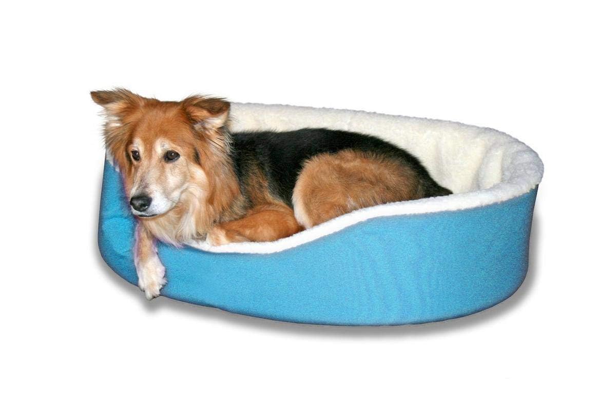 AMICA Luxurious Foam Filled Fabric Round Shape Reversible Dual Soft Bed for Dogs and Cats Export Quality (L, Sky Blue) (B0CB8WGMFR) Amazon Price History, Amazon Price Tracker