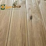 Generic B0CWVJNGWM lato 4