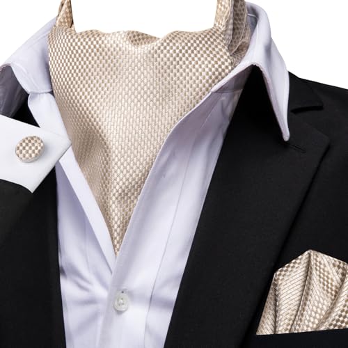 Image of Dubulle Paisley Floral Ascot for Men Self Tie Mens Cravat and Pocket Square Cufflinks Wedding