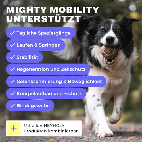 Premium Gelenkpulver für Hunde Mighty Mobility | Grünlippmuschel Hund | Gelenk- & Knochenschutz für Hunde 200 g | Unterstützt bei akuten Gelenkschmerzen & Präventiv | Alternative zu Gelenktabletten
