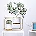 Wall Planters for Indoor Plants Modern Design Wall Plant Holder with 2 Ceramic Pots & 2 Wall Mounts Dual Purpose As A Wall Planter or Table Top Plant Stand - Matte Gold