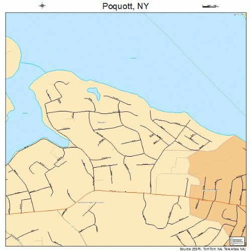 Large Street & Road Map of Poquott, New York NY Printed poster size
