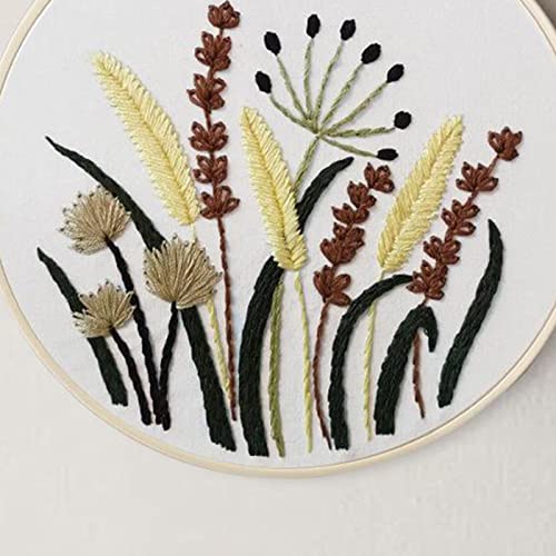 Colcolo 1 Conjunto de Kits para Iniciantes Embrodiery com Ferramentas Básicas DIY Needlework Gift -
