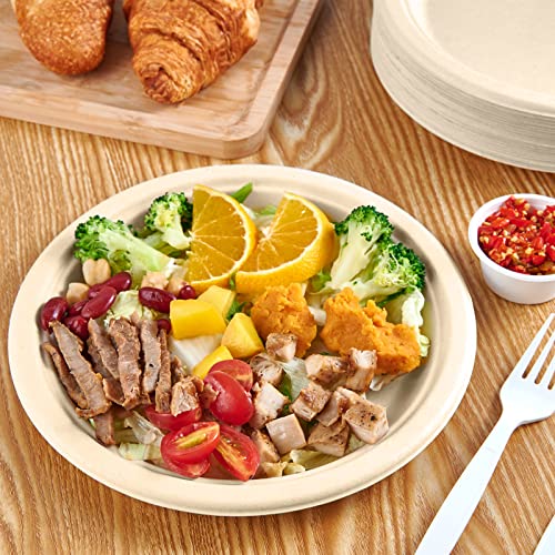 Vplus 150 Pack Paper Plates 9 inch 100% Compostable Plates Heavy-Duty Disposable Paper Plates Bagasse Natural Biodegradable Eco-Friendly Sugarcane Plates - Image 3