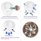 Garten lux B0CW9XD8ZW lato 2